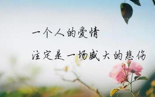 《想你想的好心痛》LRC歌词 《想你想的好心痛》(倪尔萍)歌词555uuu下载