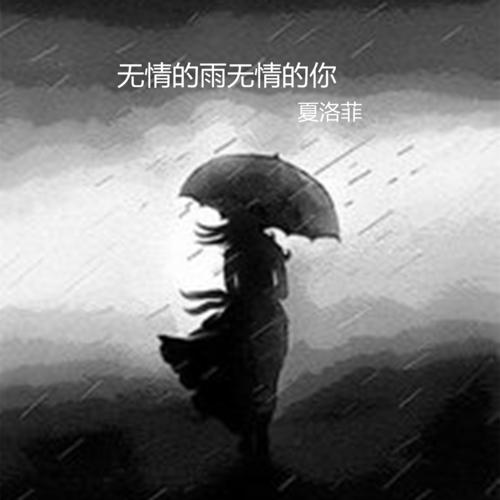 《无情的雨无情的你》(齐秦&李维&蔡勇&王可)歌词555uuu下载
