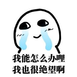 《我也可以》LRC歌词 《我也可以》(shelly佳)歌词555uuu下载