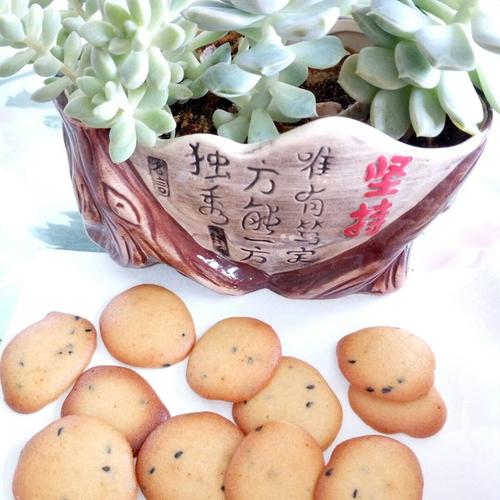 《云儿飘》LRC歌词 《云儿飘》(黄思婷)歌词555uuu下载
