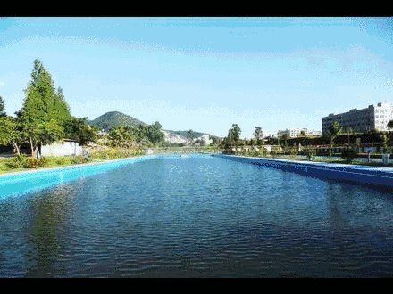 《水仙》LRC歌词 《水仙》(王心凌)歌词555uuu下载