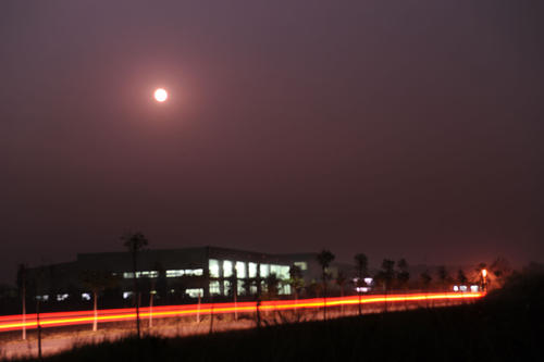 《月夜相思情》LRC歌词 《月夜相思情》(龙飞,云飞儿)歌词555uuu下载