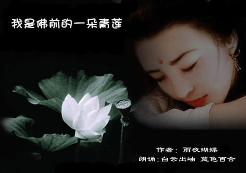 《我是佛前一朵青莲》(陶莹)歌词555uuu下载