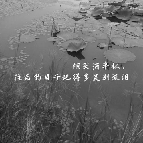 《往后的日子》LRC歌词 《往后的日子》(陈雅森)歌词555uuu下载