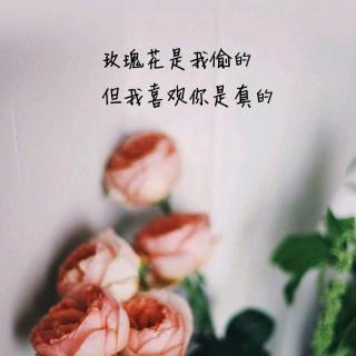 《我是你的玫瑰》(张可儿)歌词555uuu下载