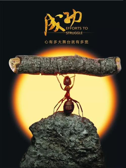 《不是所有》(冷漠)歌词555uuu下载