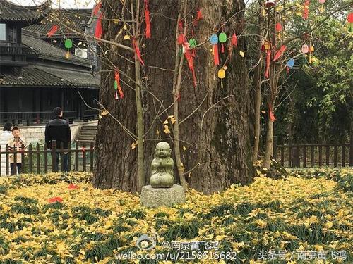 《寻梅》LRC歌词 《寻梅》(刘珂矣)歌词555uuu下载