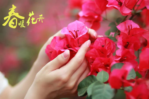 《春暖花儿开》LRC歌词 《春暖花儿开》(张冬玲&曲国庆)歌词555uuu下载