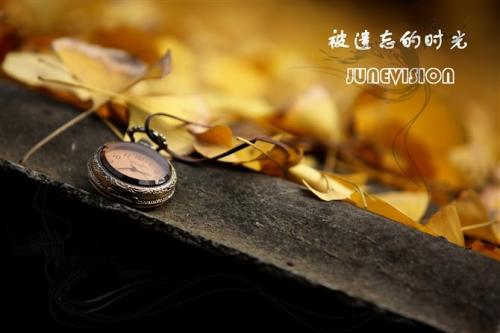 《被遗忘的时光》LRC歌词 《被遗忘的时光》(王若琳)歌词555uuu下载