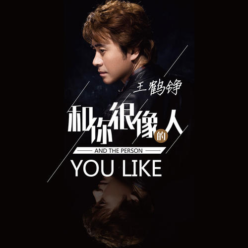 《和你很像的人》(王鹤铮)歌词555uuu下载