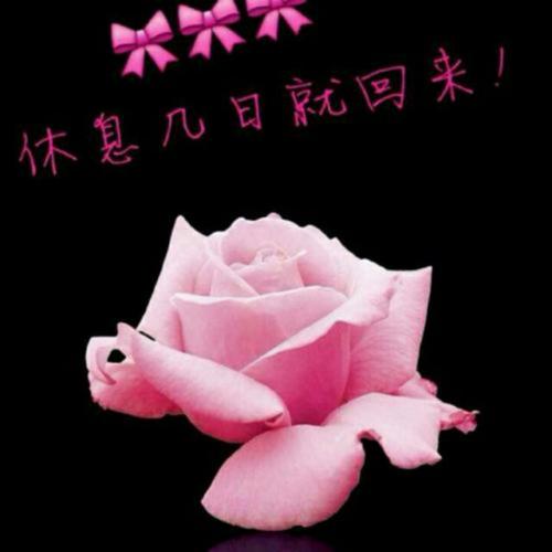 《爱到心碎还想着你的美》LRC歌词 《爱到心碎还想着你的美》(望海高歌)歌词555uuu下载