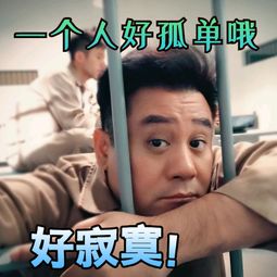 《好孤单》LRC歌词 《好孤单》(冷漠)歌词555uuu下载