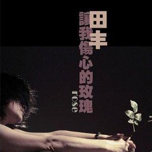 《让我伤心的玫瑰》LRC歌词 《让我伤心的玫瑰》(田丰&陈瑞)歌词555uuu下载