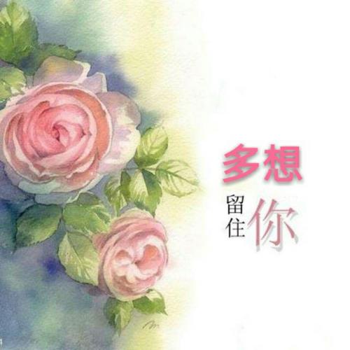 《多想留住你》LRC歌词 《多想留住你》(任妙音)歌词555uuu下载