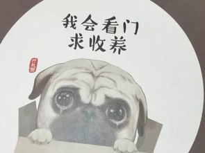 《宠你疼你不惯你》LRC歌词 《宠你疼你不惯你》(大火)歌词555uuu下载