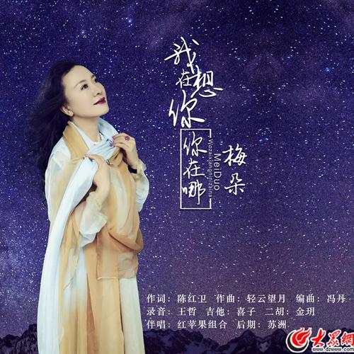 《你不离开 我不放手》LRC歌词 《你不离开 我不放手》(梅朵)歌词555uuu下载