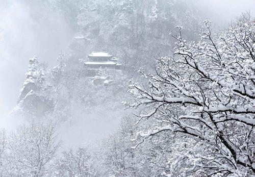 《飞雪》LRC歌词 《飞雪》(冬子)歌词555uuu下载