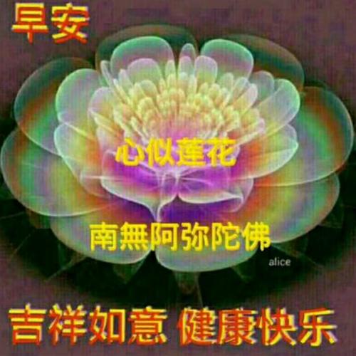 《花花心肠》LRC歌词 《花花心肠》(唐钰儿)歌词555uuu下载