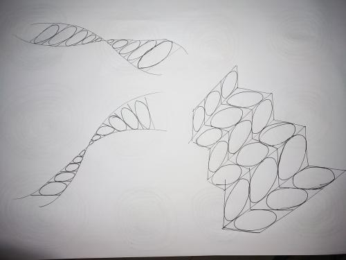 《初学者》LRC歌词 《初学者》(薛之谦)歌词555uuu下载