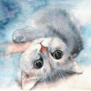 《学猫叫》LRC歌词 《学猫叫》(小潘潘/小峰峰)歌词555uuu下载