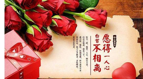 《祝福恋人》LRC歌词 《祝福恋人》(于新娜)歌词555uuu下载