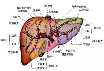 《痛》LRC歌词 《痛》(柳妍熙)歌词555uuu下载
