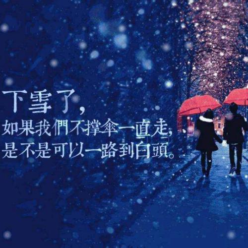《太想爱你》(娄一晨,海燕,王冠)歌词555uuu下载