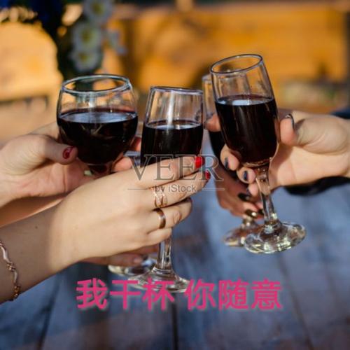 《我干杯你随意》LRC歌词 《我干杯你随意》(王不火)歌词555uuu下载