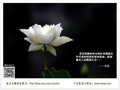 《世间真情美》LRC歌词 《世间真情美》(阿琳)歌词555uuu下载