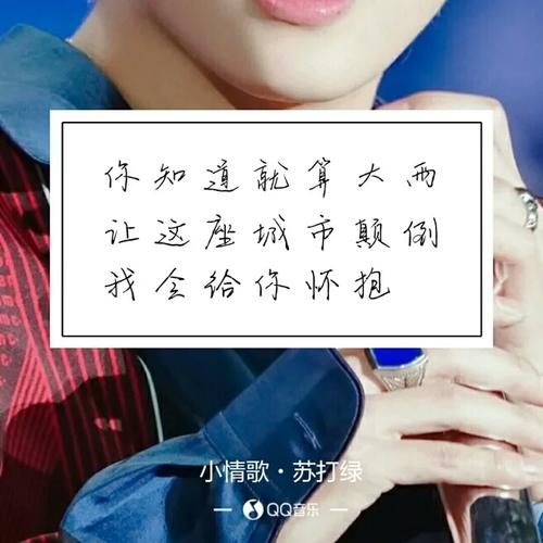 《爱你爱的发了疯》LRC歌词 《爱你爱的发了疯》(许志刚)歌词555uuu下载