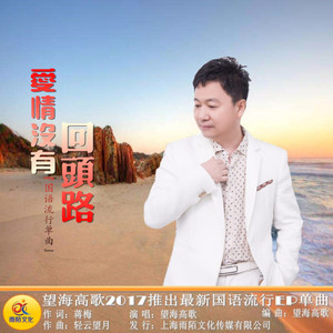 《爱情没有回头路》LRC歌词 《爱情没有回头路》(望海高歌)歌词555uuu下载