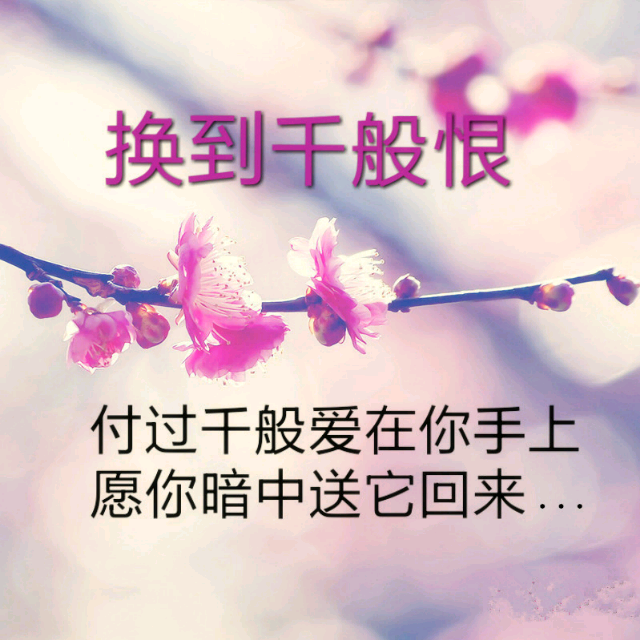 《换到千般恨》LRC歌词 《换到千般恨》(韦伦)歌词555uuu下载