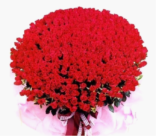 《玫瑰送给有情人》(乌兰托娅,高进)歌词555uuu下载