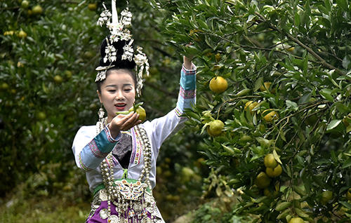 《侗家姑娘爱唱歌》(张玮)歌词555uuu下载