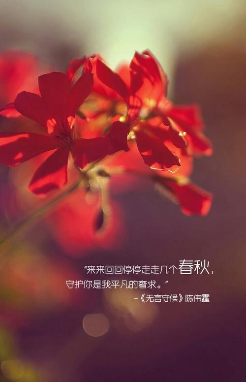 《无言守候》LRC歌词 《无言守候》(陈伟霆)歌词555uuu下载