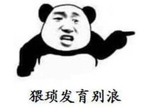《猥琐发育 别浪》LRC歌词 《猥琐发育 别浪》(蒙面哥)歌词555uuu下载