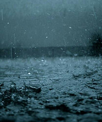 《风吹雨》LRC歌词 《风吹雨》(曾静玟)歌词555uuu下载