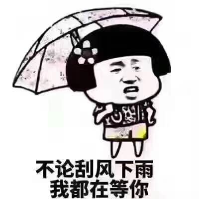 《风里雨里我在等你》(司文&兰依依)歌词555uuu下载
