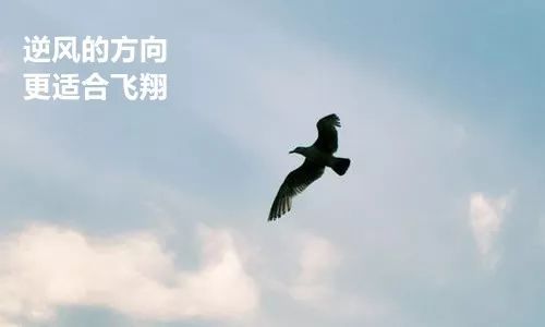 《逆风飞翔》(郑合惠子)歌词555uuu下载