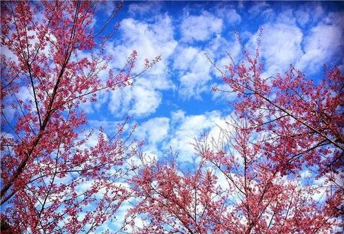 《相遇的季节》LRC歌词 《相遇的季节》(王括)歌词555uuu下载