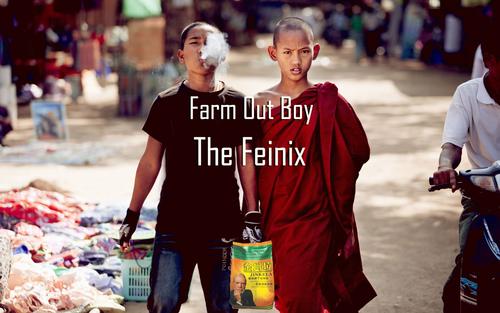 《The Phoenix》(Fall,Out,Boy)歌词555uuu下载