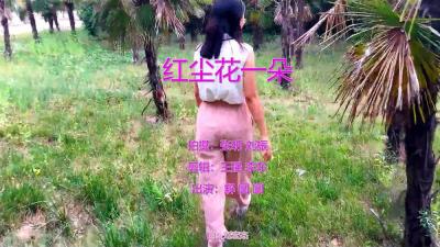 《红尘花一朵》LRC歌词 《红尘花一朵》(卢喃,唐大鹏)歌词555uuu下载