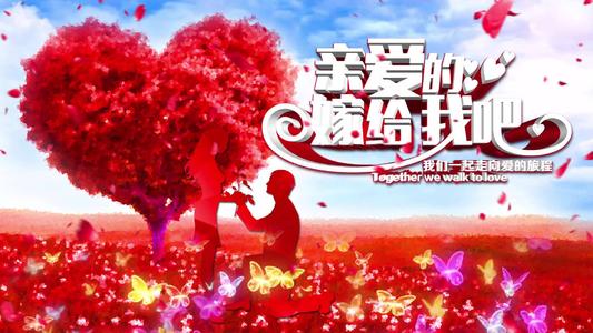 《亲爱的嫁给我吧》LRC歌词 《亲爱的嫁给我吧》(天喜果组合)歌词555uuu下载