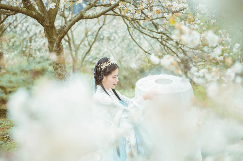 《再唱梨花叹》LRC歌词 《再唱梨花叹》(布兰卡)歌词555uuu下载